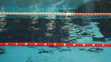 Sporcu havuzunda yüzüyor