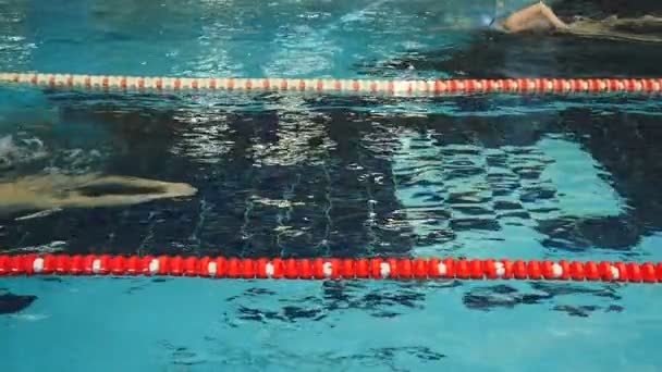 Mand svømme i swimmingpool – Stock-video