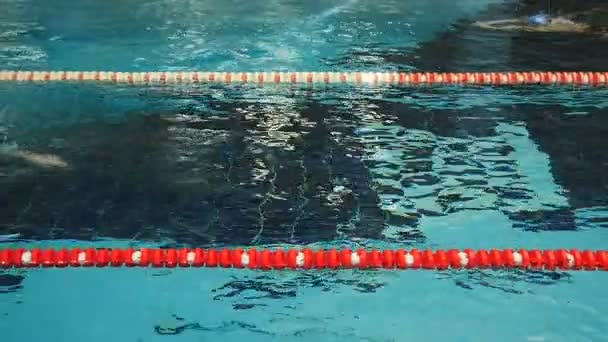 运动员的轨道在游泳池里游泳 — 图库视频影像