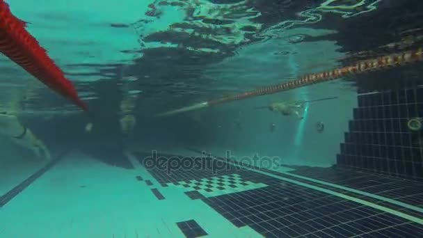 Sexy chlap plave pod vodou — Stock video