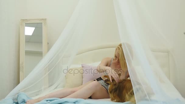 Mujer joven en ropa interior acaricia el spitz pomeraniano en la cama — Vídeo de stock