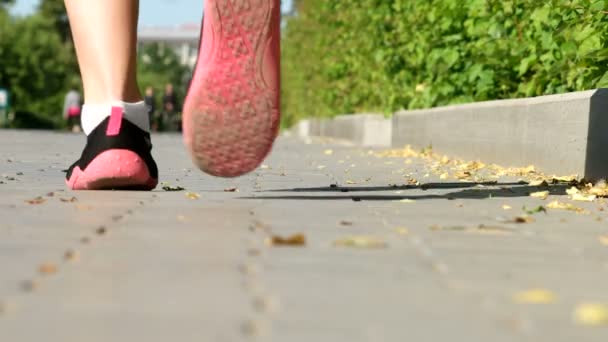 Mujeres piernas en zapatillas de deporte corren por la calle — Vídeo de stock