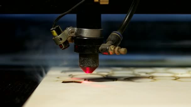 Máquina de corte láser vista lateral en el trabajo en madera — Vídeos de Stock