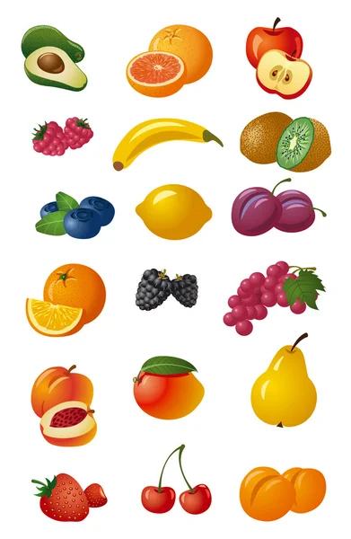 Různé čerstvé ovoce — Stockový vektor