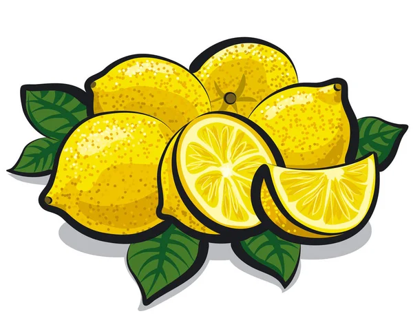 Lemon segar yang segar - Stok Vektor