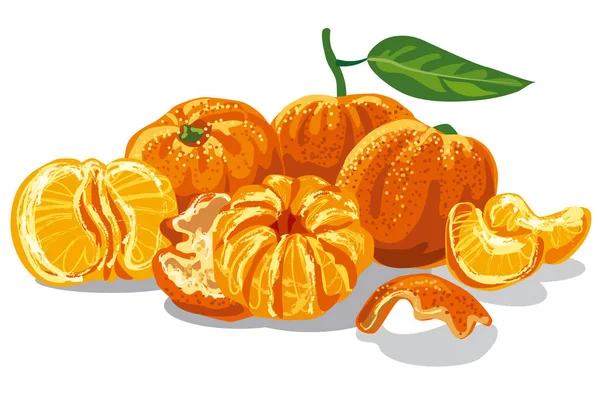 Сочные мандарины — стоковый вектор