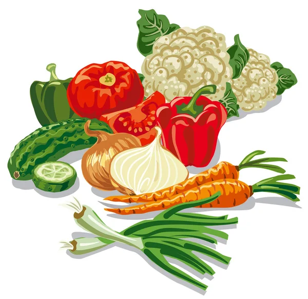 Harvest of vegetables — Stock Vector