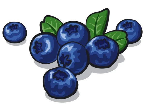 成熟的新鲜蓝莓 — 图库矢量图片
