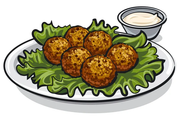 Traditional falafel with lettuce — Stock Vector