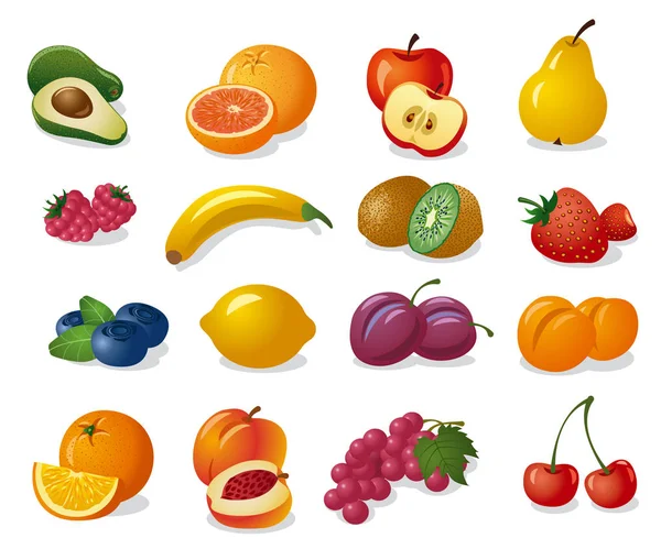 Καρποί και φρούτα — Διανυσματικό Αρχείο