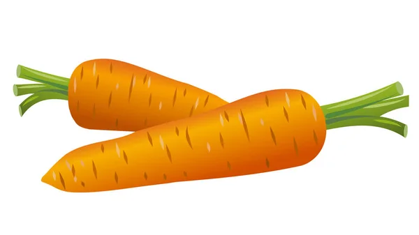 Две морковки — стоковый вектор