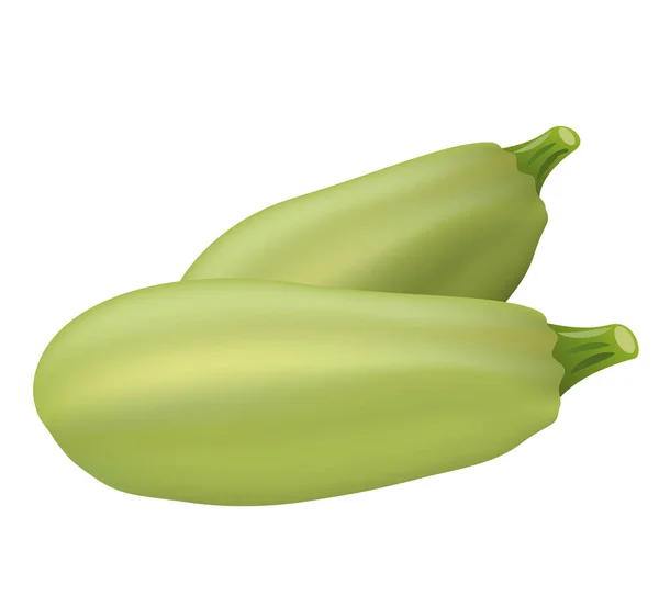 Due zucchine — Vettoriale Stock