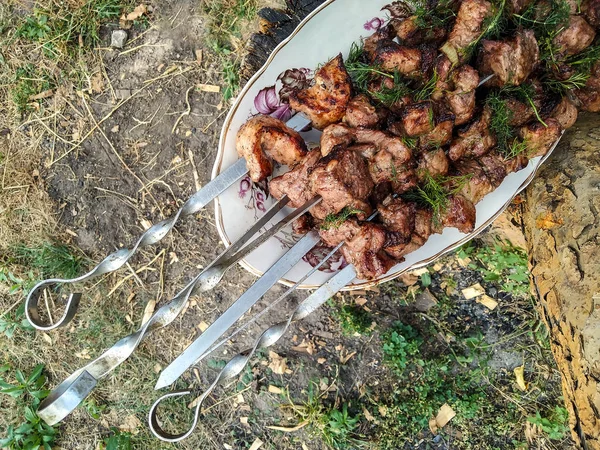 Kebab caliente — Foto de Stock