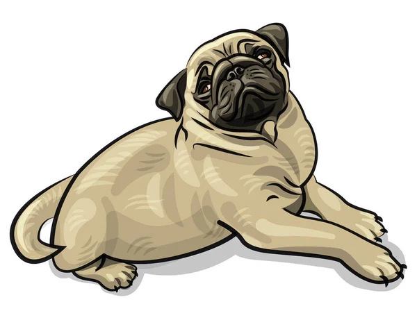 Cachorrinho cão pug — Vetor de Stock