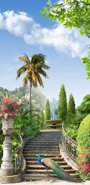 Schöne Sommer Sonnige Landschaft — Stockfoto