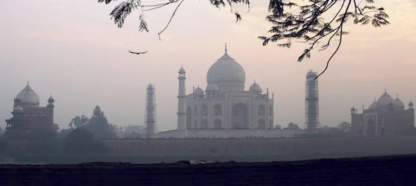 Taj Mahal en la India. — Foto de Stock