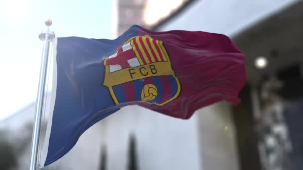 Incroyable FC Barcelone agitant le drapeau . — Video