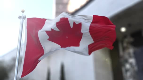 Wunderbare kanadische Flagge in Zeitlupe. — Stockvideo