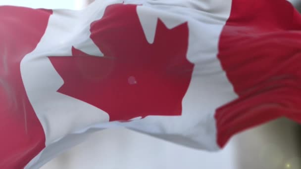 スローモーションの驚くべきカナダの旗. — ストック動画