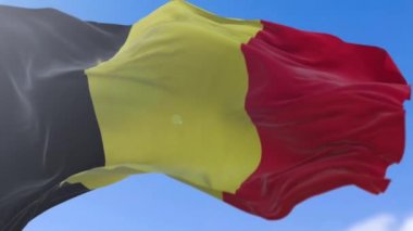 Ağır çekim inanılmaz sallayarak Belçika bayrağı.