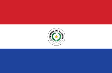 Güzel çizim şaşırtıcı yatay Paraguay bayrağının.