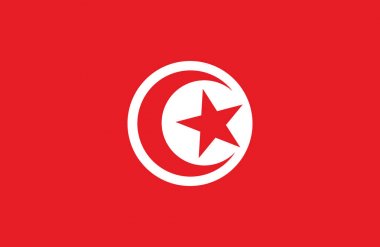 Nice Tunisian flag. clipart