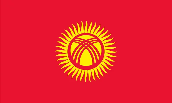 Vector of amazing Kyrgyzstan flag. — Stock Vector