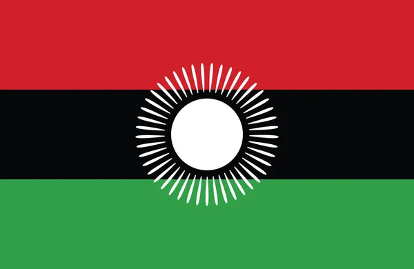 Amazing vector of new Malawi flag — Stock Vector