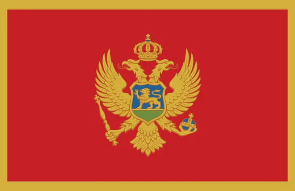 Vettore di incredibile bandiera Montenegro . — Vettoriale Stock