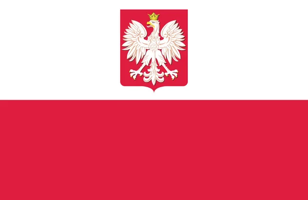 Nice polska flaggan. — Stock vektor