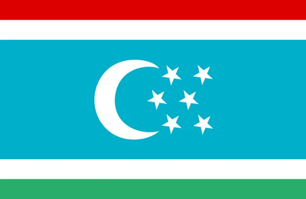 Güzel Türkistan bayrağı. — Stok Vektör