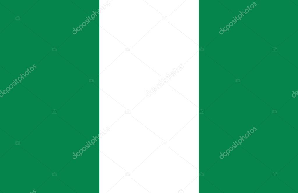 Amazing flag of  Nigeria vector.