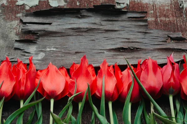 Increíbles tulipanes rojos en la madera . —  Fotos de Stock