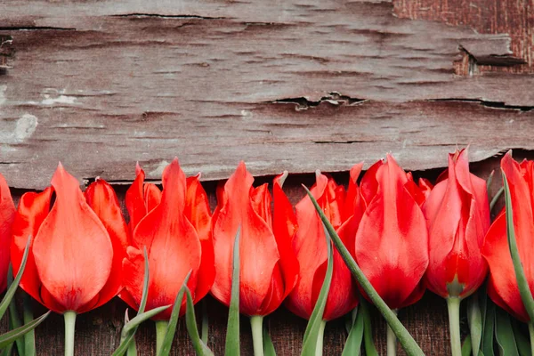 Erstaunliche rote Tulpen auf dem Holz. — Stockfoto