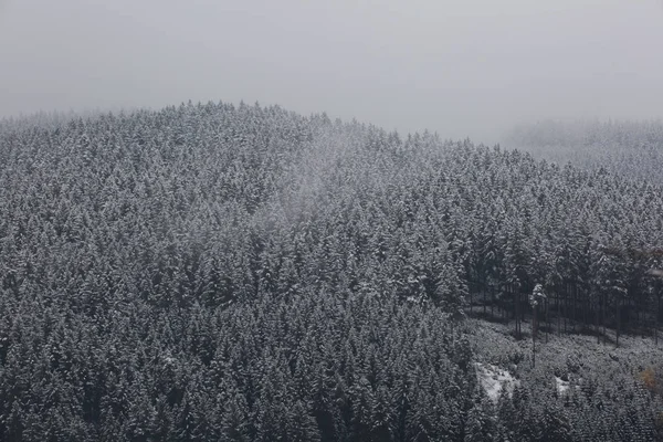 Дивовижні Fogy Лісу Німеччині — стокове фото