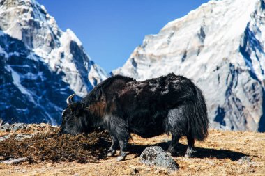 Nepal Himalayalar üzerinde büyük dağlar.
