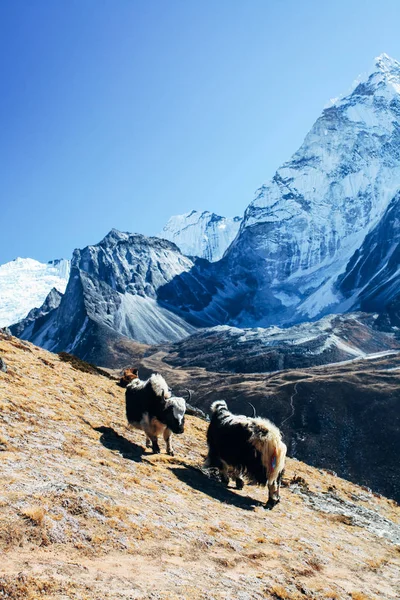 Nepal Himalayalar üzerinde büyük dağlar.