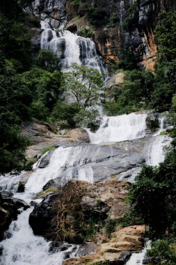 Sri Lanka 'da şelale.