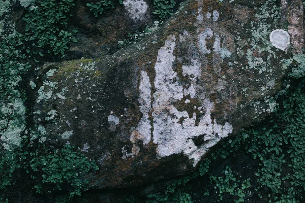 Stone Texture Art Mother Nature — Stock Photo, Image