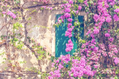 Pembe çiçeklerle süslenmiş yeşil pencere