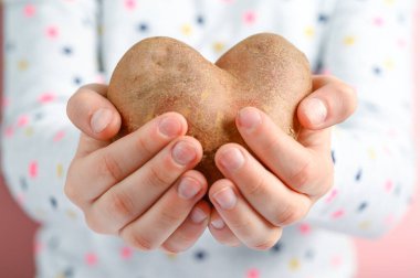 Çocukların ellerinde, kalp şeklinde çirkin bir patates var. Komik, çirkin sebzeler..