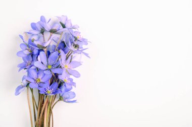 Beyaz arkaplanda mavi çiçek buketi Üst görünüm, boşluğu kopyala.