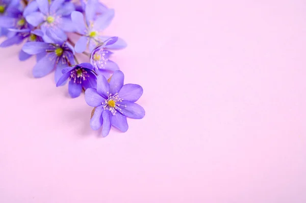 Bukett Blå Blommor Lila Bakgrund Ovanifrån Kopiera Utrymme — Stockfoto