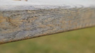 Alyanslar ahşap yüzeyde, evlilik sembolü ve çift..