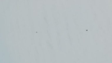 Hava - aşık çift birbirlerine kar sahada karşılamak