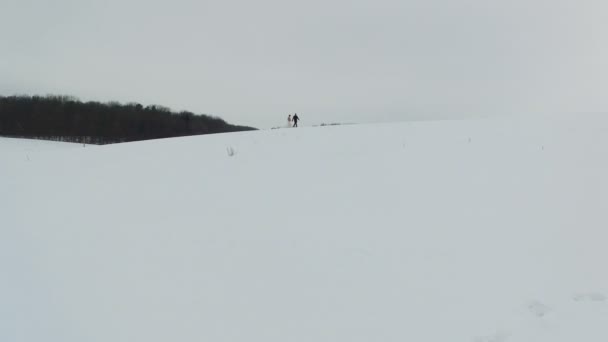 Повітря - пара закоханих гуляє разом на сніговому полі — стокове відео
