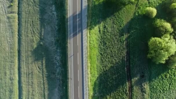 4K filmato aereo di una macchina a cavallo di una strada tra campi verdi al sorgere del sole — Video Stock