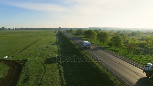 Imágenes aéreas de 4K de coches montados en una carretera entre campos verdes al amanecer — Vídeos de Stock