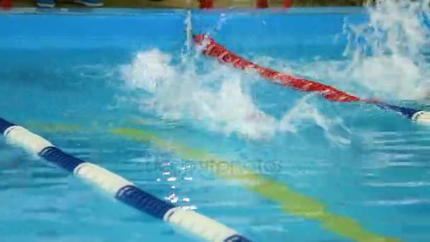 Boy swims backstroke on pool lane, back view — Stock Video