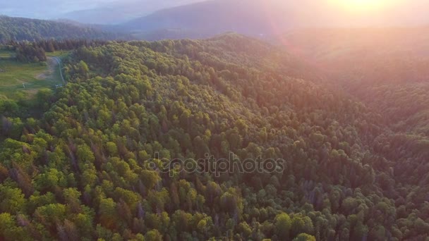 Hermosa vista aérea del bosque en las montañas al atardecer — Vídeo de stock